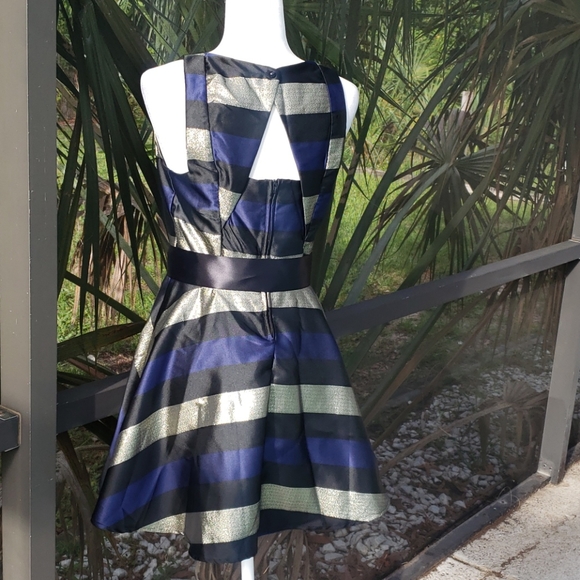Bailey Blue Metallic Striped A-Line Dress Size M - Picture 2 of 7